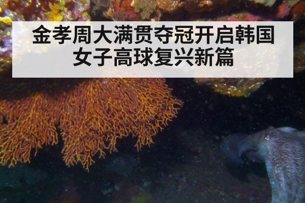 金孝周大满贯夺冠开启韩国女子高球复兴新篇