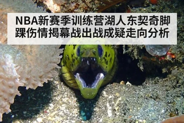 NBA新赛季训练营湖人东契奇脚踝伤情揭幕战出战成疑走向分析